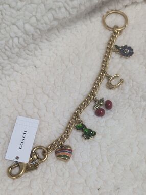 Motif Chain Bag Charm/Extender/Keychain